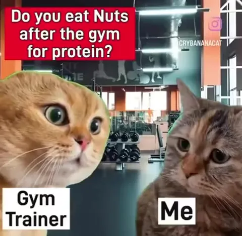Gym Trainer Offers Nuts, Gets Donuts