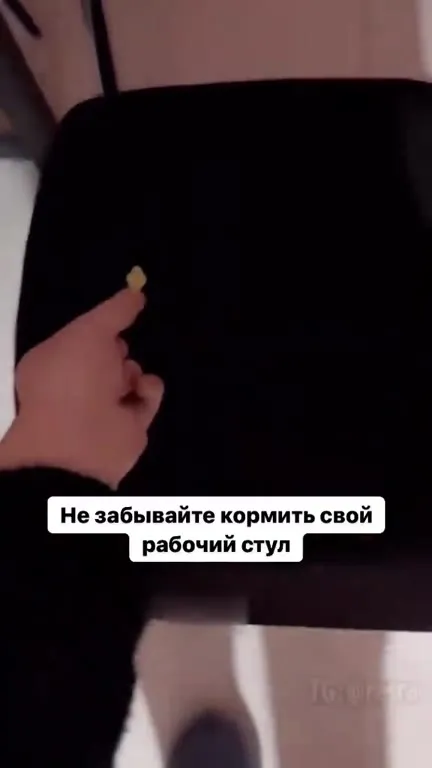 Покормите рабочий стул