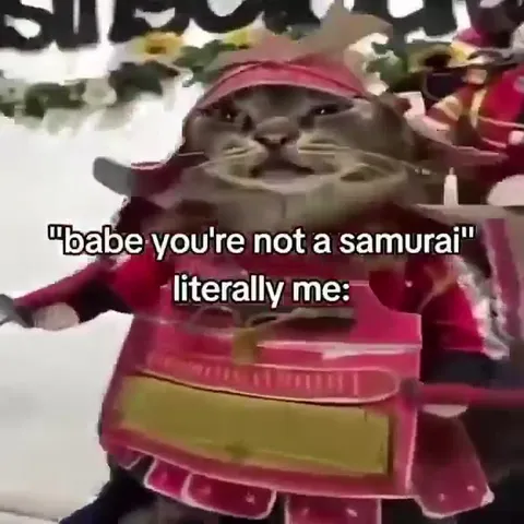 Literally a Samurai Cat
