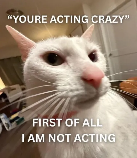 Cat Refuses to Admit It