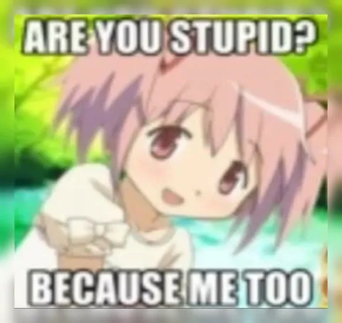 Are You Stupid? Me Too