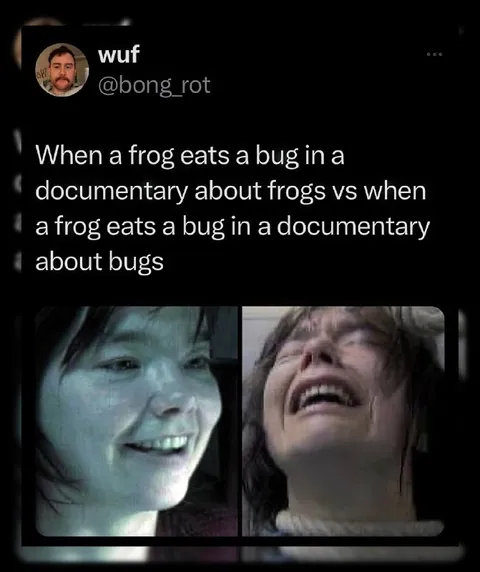Frog Documentary Reaction