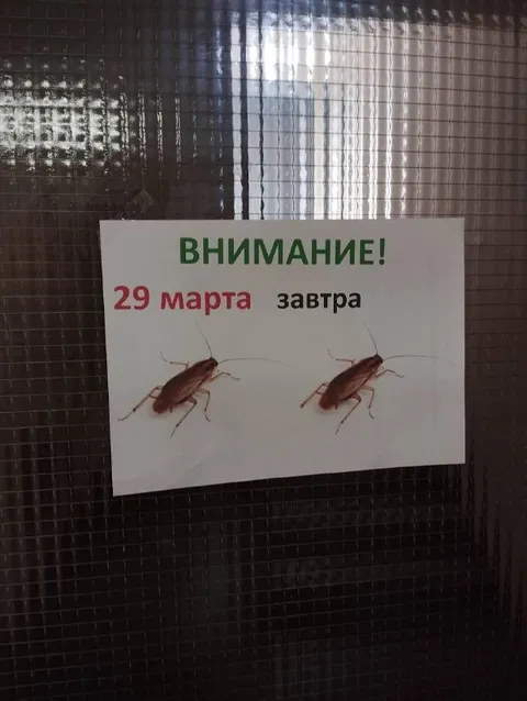 29 марта уже завтра