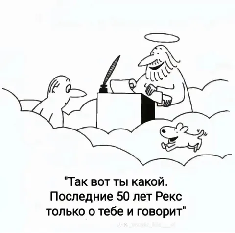 Рекс говорит только о тебе