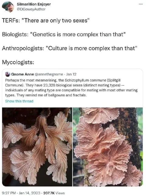 Mycologists Complicate the Two Sexes Debate