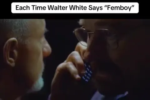 Every Time Walter Says Femboy