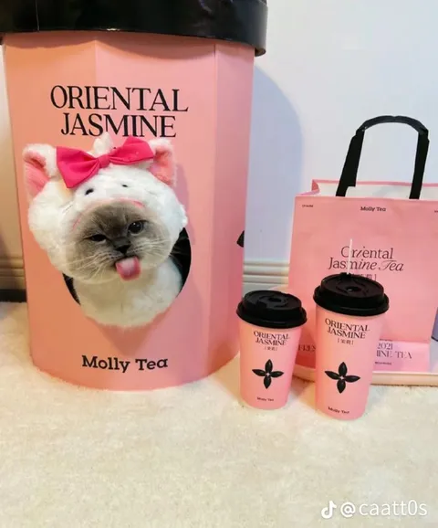 Cat on Jasmine Tea Packaging