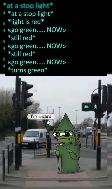 Wizard Commands the Traffic Light