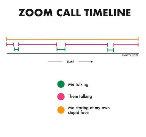 Zoom Call Timeline