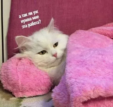 А так ли нужна мне работа