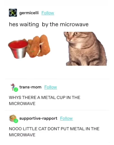 Cat Waits by the Microwave