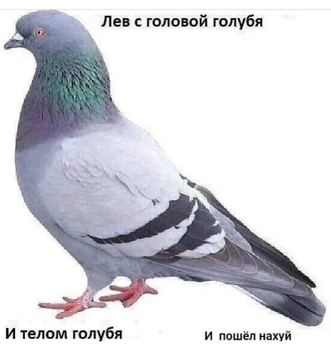 Лев с головой голубя