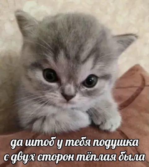 Тёплая подушка с двух сторон