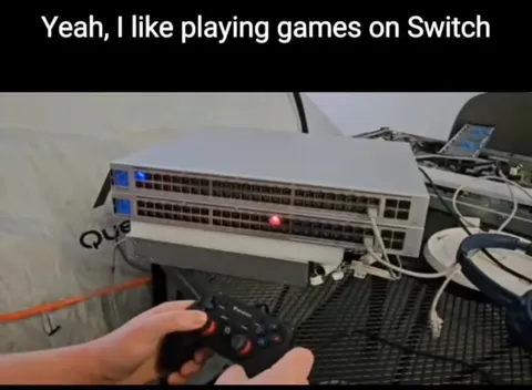 Playing Games on Switch