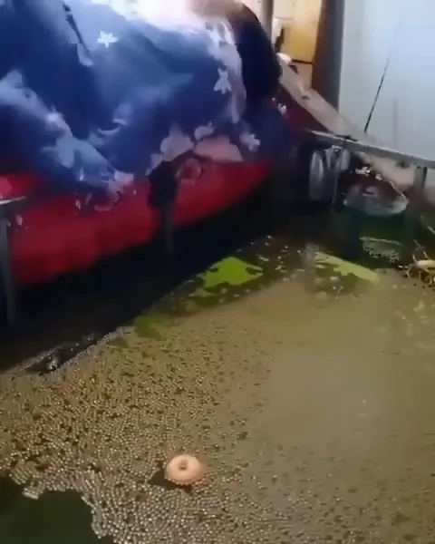 Кровать уходит под воду