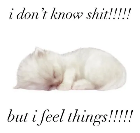 I Don't Know Shit But Feel Things