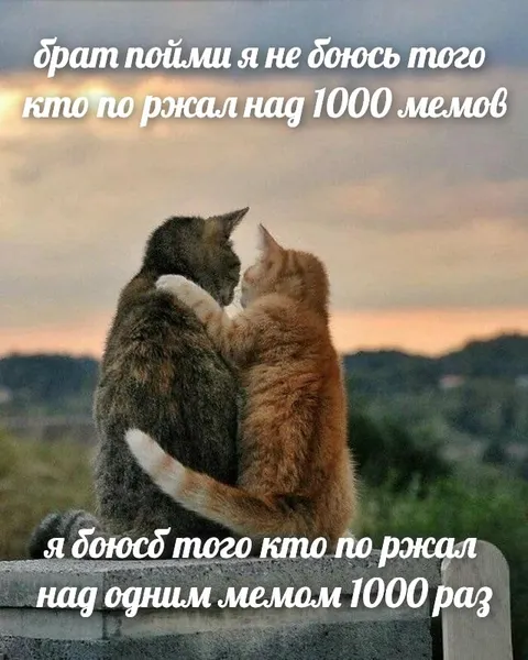 Боюсь того, кто смеётся над одним мемом