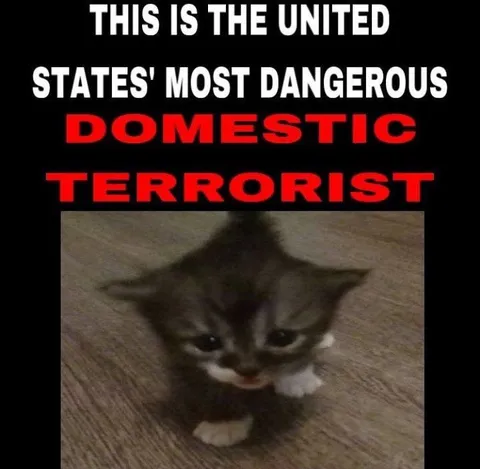 Most Dangerous Domestic Terrorist