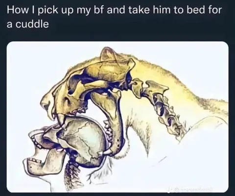 Picking Up My Boyfriend