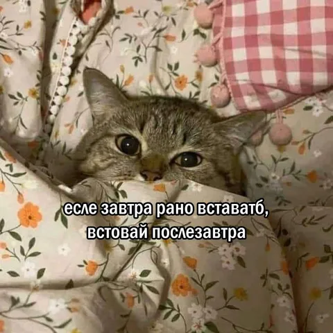 Вставай послезавтра