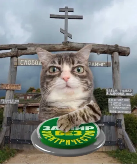 Кот за мир без электричества