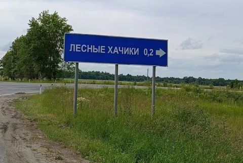 Лесные хачики за поворотом