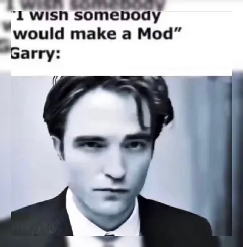I Wish Somebody Would Make a Mod