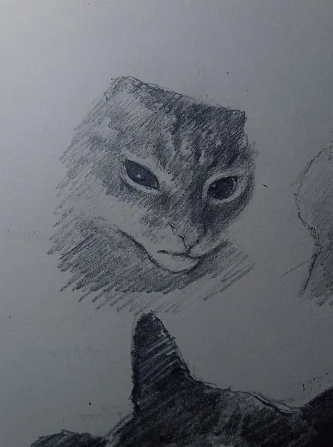 Задумчивый кот карандашом
