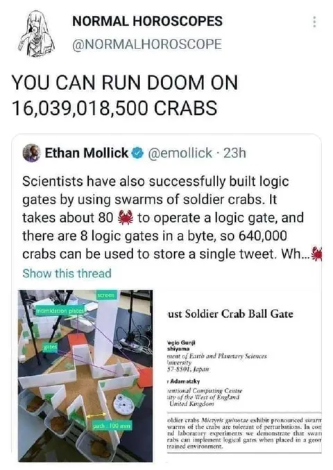 Doom Runs on Crabs