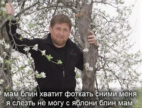 Мам, хватит фоткать с яблони