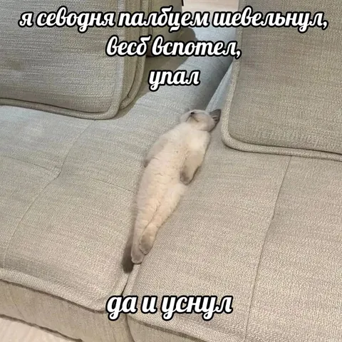 Палец шевельнулся — кот уснул