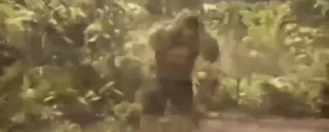 Странный танец в лесу