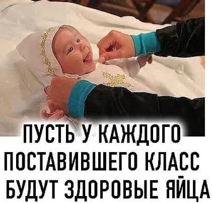 Здоровые яйца за лайк