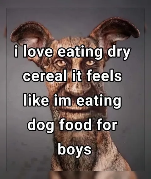 Dog Food for Boys