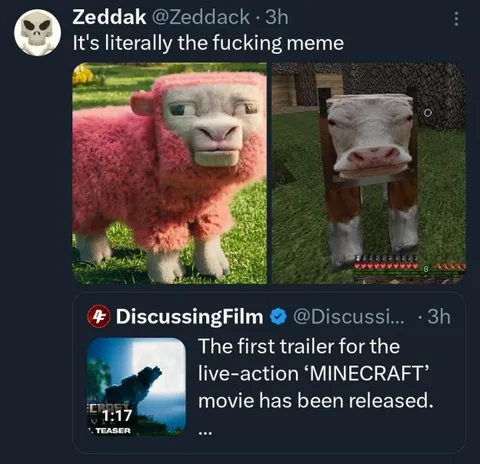 Minecraft Live-Action Meme
