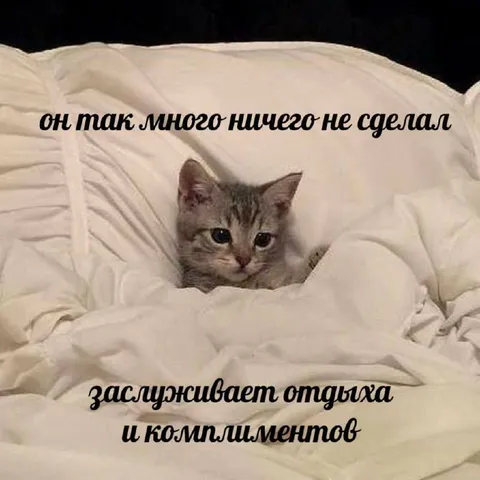 Кот заслуживает отдыха