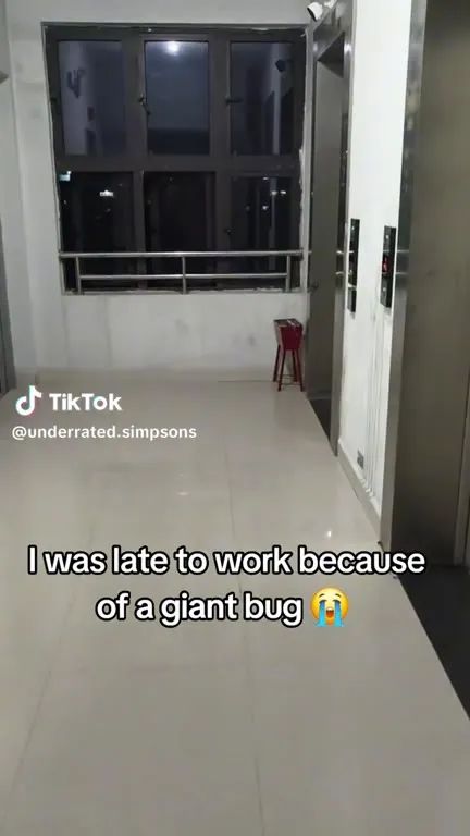 Giant Bug Makes Me Late