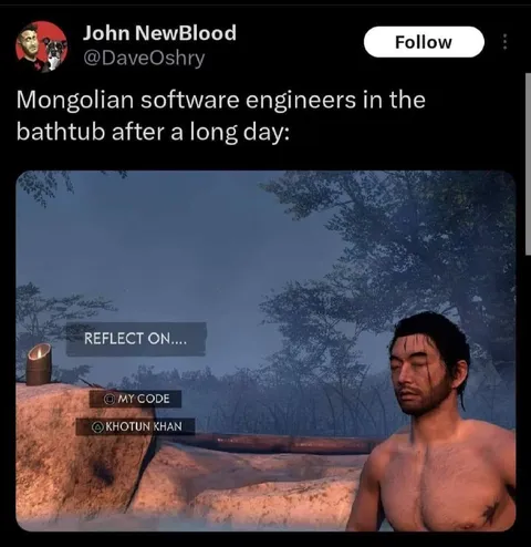 Software Engineers Reflect in the Bathtub