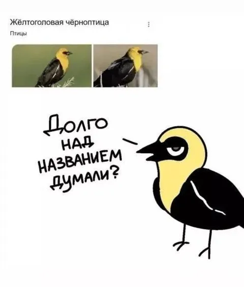 Долго над названием думали