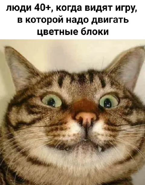 Люди 40+ и цветные блоки