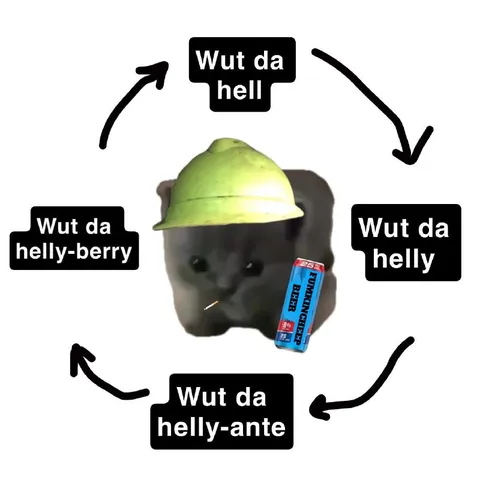 Wut da helly-berry cat