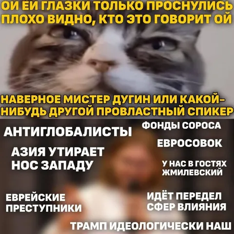 Кошки обсуждают пропагандистов