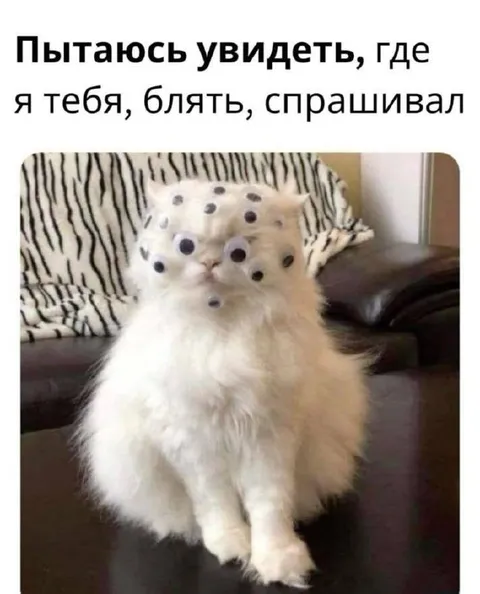 Где я тебя спрашивал