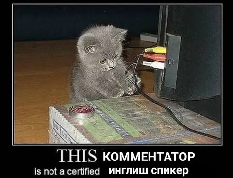 Кот — английский спикер