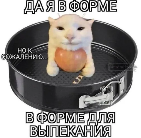 Кот в форме для выпекания