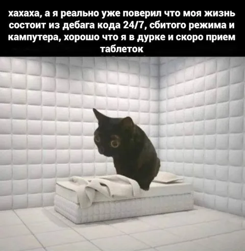 Типичный админ битка