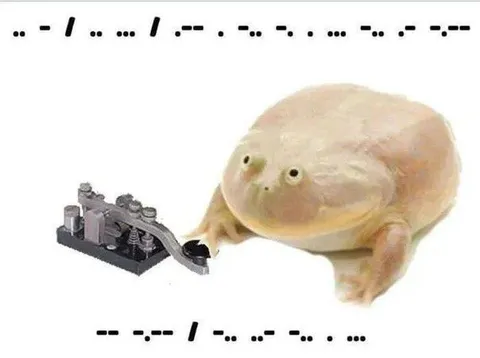 It Is Wednesday My Dudes