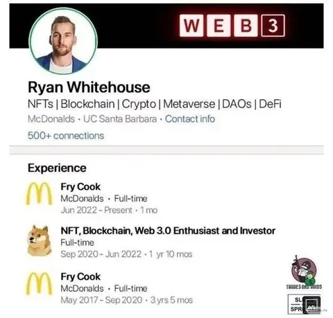 Web3 Enthusiast Fry Cook Resume