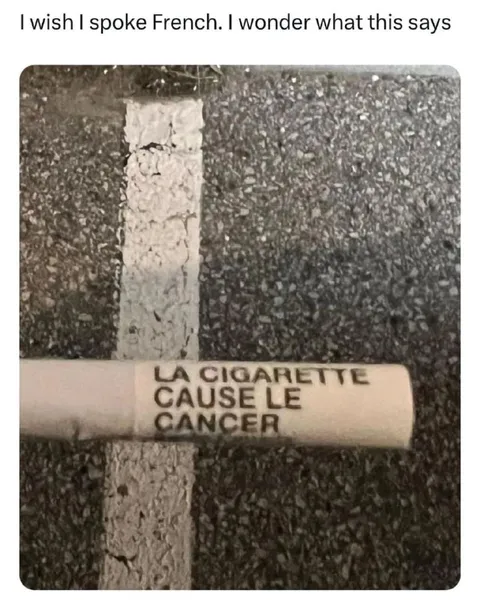 I Wish I Spoke French