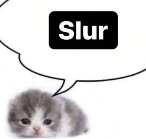 Cat Says Slur